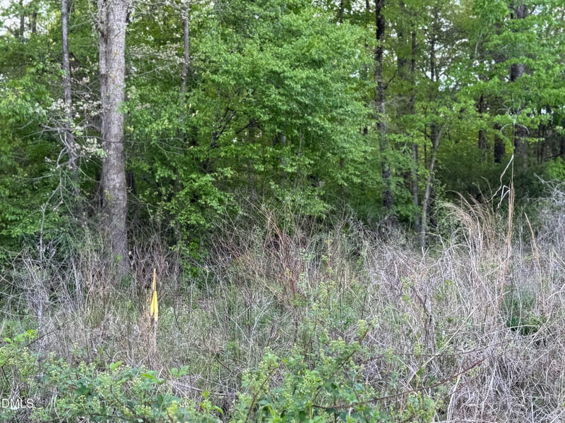 4222 Jeffries Rd Lot 1, Durham, NC 27704