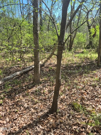 4222 Jeffries Rd Lot 1, Durham, NC 27704