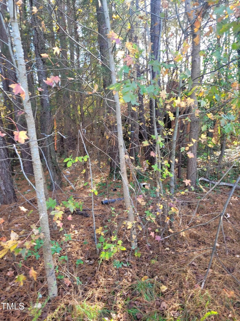 4229 Hilltop Needmore Rd, Fuquay Varina, NC 27526