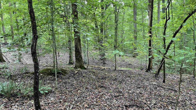 4240 Purnell Rd Lot TR6, Wake Forest, NC 27587