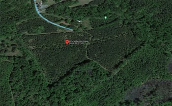 4254 Willard Rd, Snow Camp, NC 27349