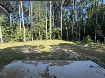 426 Magnolia Run Way, Benson, NC 27504