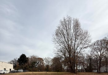 427 Rauhut St Lot 18, Burlington, NC 27217