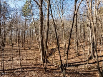 427 Vivaldi Dr, Durham, NC 27712