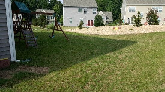 43 Sunflower Way, Clayton, NC 27527