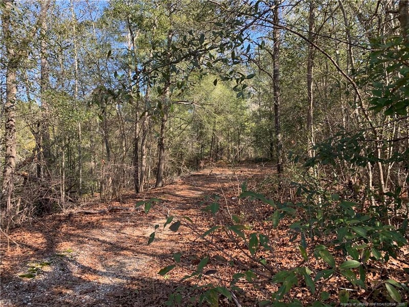 430 Porter Rd, Hope Mills, NC 28348