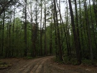4308 Graham Newton Rd, Raleigh, NC 27606