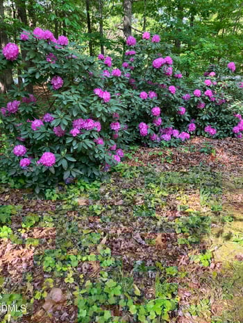 4308 Yates Mill Pond Rd, Raleigh, NC 27606