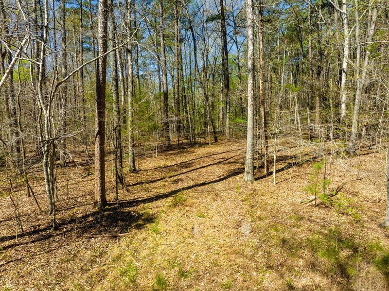 431 Dragonfly Trl Lot A, Chapel Hill, NC 27517