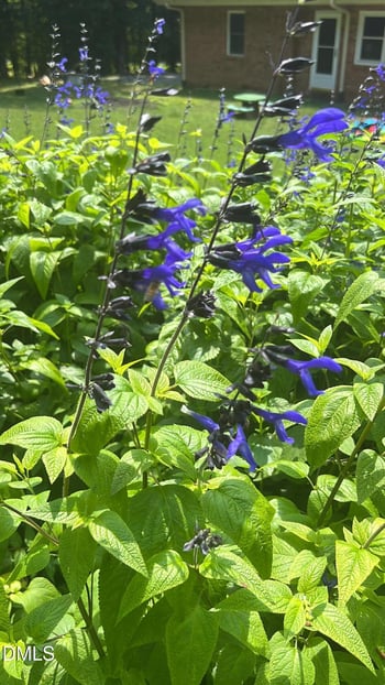 4316 Erwin Rd, Durham, NC 27705