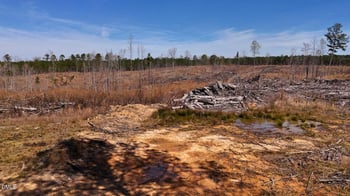 4321-4333 New Hill Holleman Rd, New Hill, NC 27562