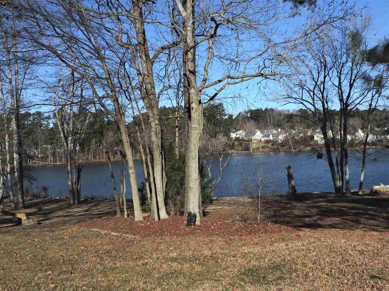 4325 Willow Lake Rd, Raleigh, NC 27616