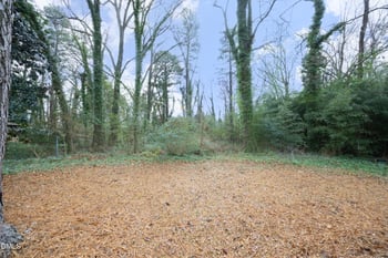 434 Ward St, Graham, NC 27253