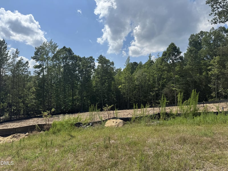 4340 Coldwater Springs Dr, Raleigh, NC 27616