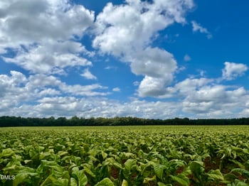 4340 Coolwater Dr Lot 26, Bailey, NC 27807