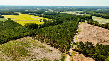 4344 Yank Rd, Wilson, NC 27893