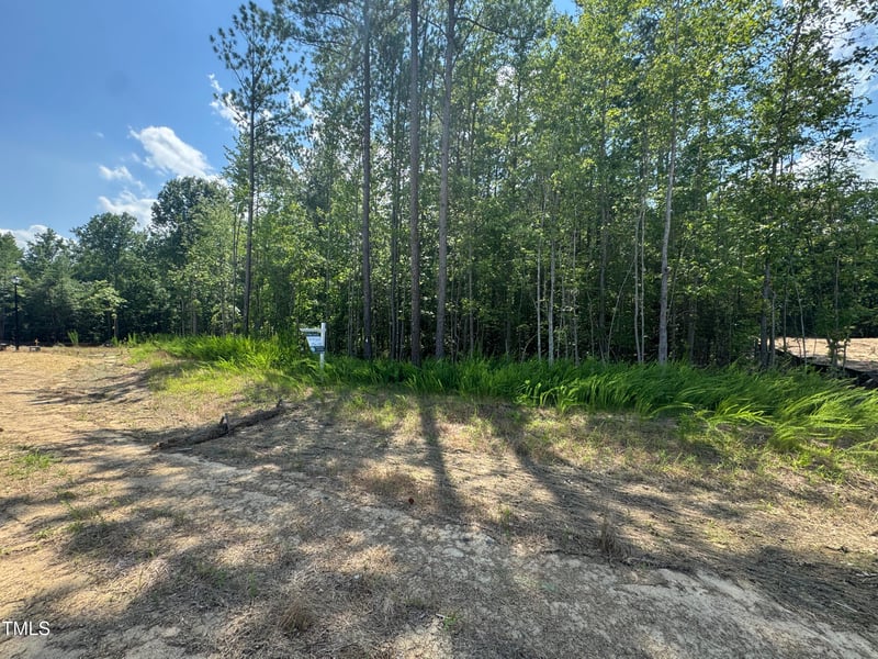 4348 Coldwater Springs Dr, Raleigh, NC 27616
