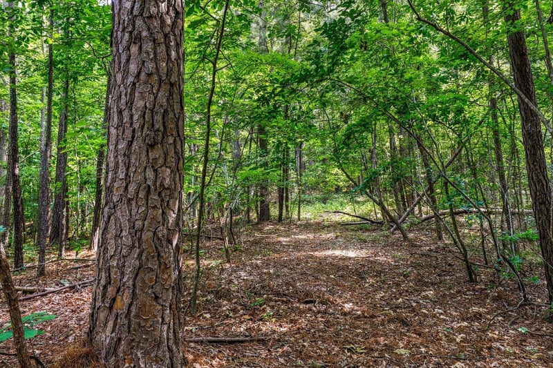 435 Hickory Pond Rd Lot 7, Chapel Hill, NC 27517