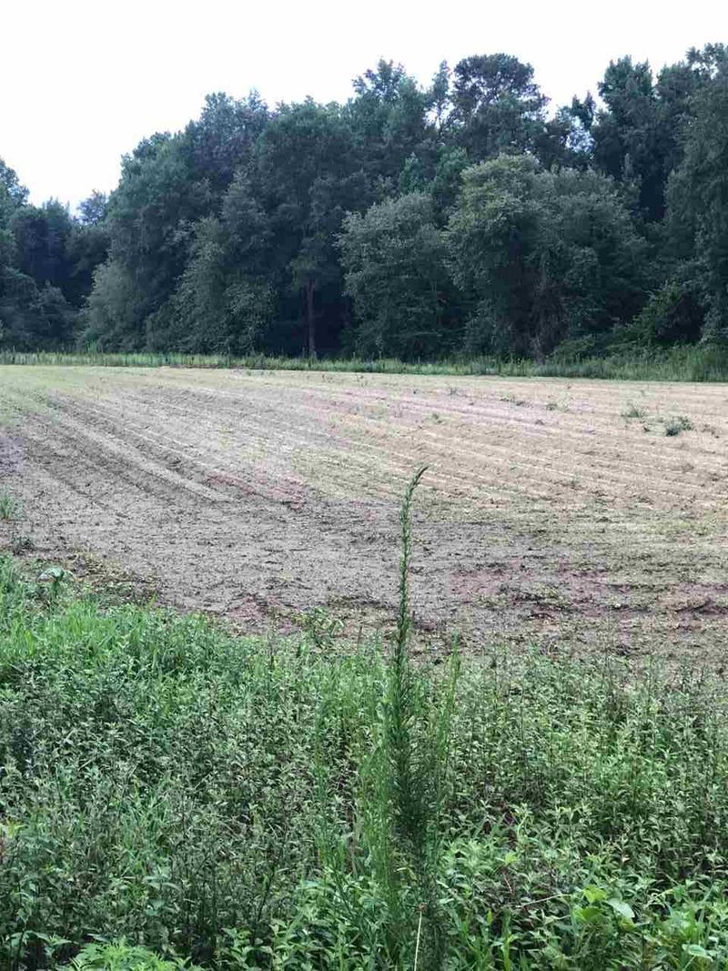 436 Clark Rd Lot 2, Lillington, NC 27546