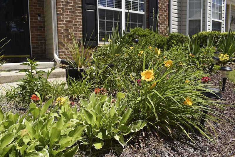 437 Hidden Springs Dr, Durham, NC 27703
