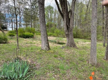 4371 Nc Highway 902, Pittsboro, NC 27312