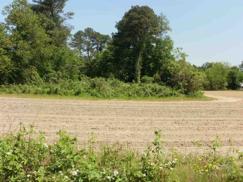 4388 Old Us 421 Lot # 3, Lillington, NC 27546