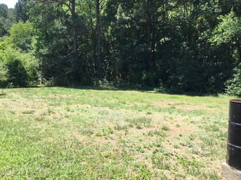 44 Sutton Rd, Louisburg, NC 27549