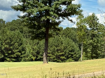 44 Sweet Meadow Ln Lot 218G, Pittsboro, NC 27312