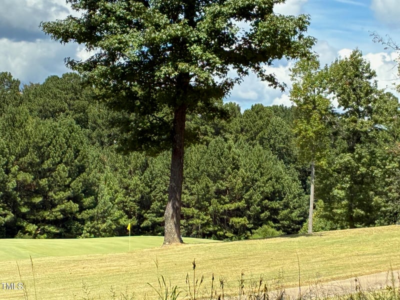 44 Sweet Meadow Ln Lot 218G, Pittsboro, NC 27312