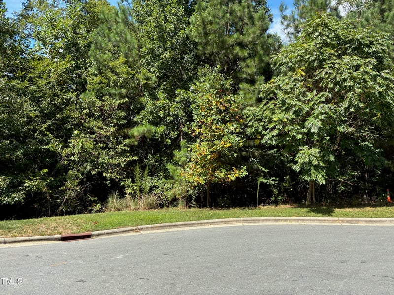 44 Sweet Meadow Ln Lot 218G, Pittsboro, NC 27312