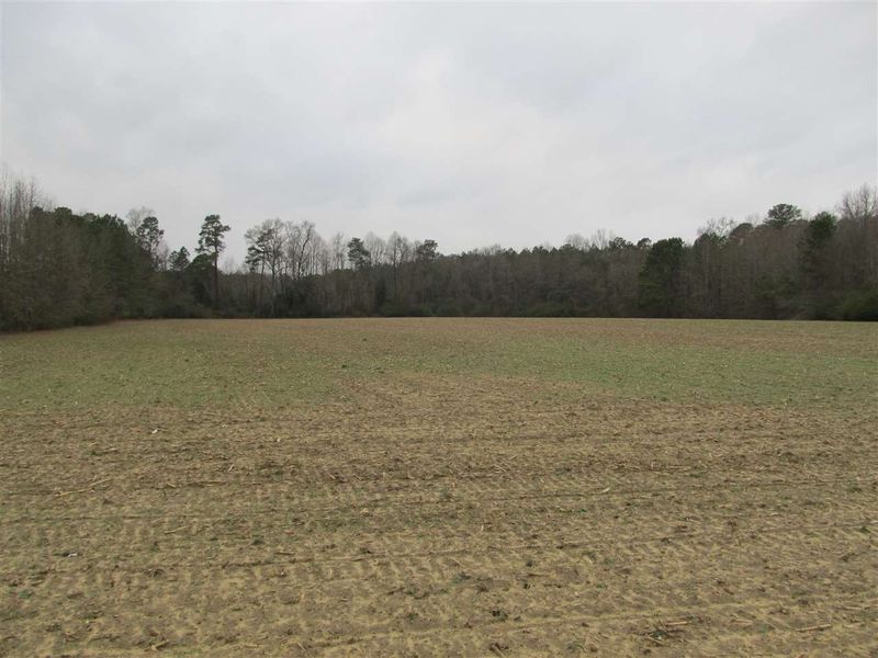 440 C P Stewart Rd, Lillington, NC 27546