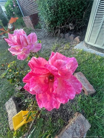 4413 Chesterbrook Dr, Fayetteville, NC 28314