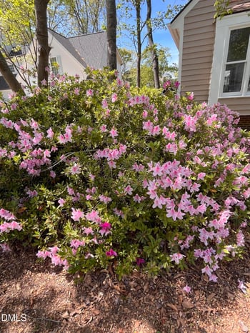 4413 Densmore Pl, Raleigh, NC 27612