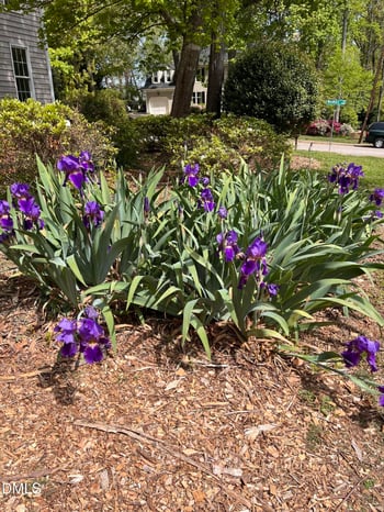 4413 Densmore Pl, Raleigh, NC 27612