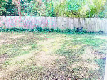 4418 Roller Ct, Raleigh, NC 27604