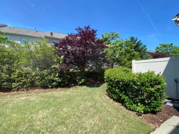 442 Manchester Park Ln, Morrisville, NC 27560