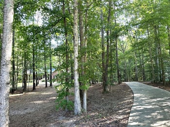 4421 Black Lion Way, Raleigh, NC 27610