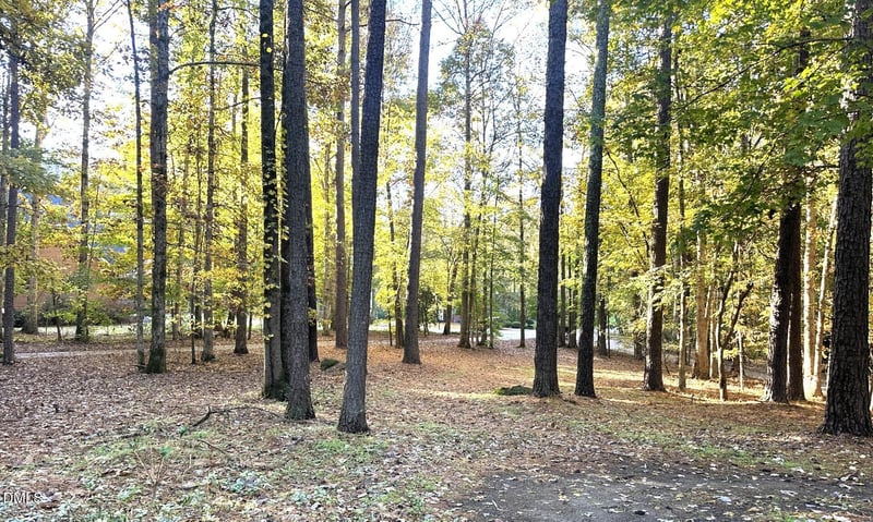 4421 Black Lion Way, Raleigh, NC 27610