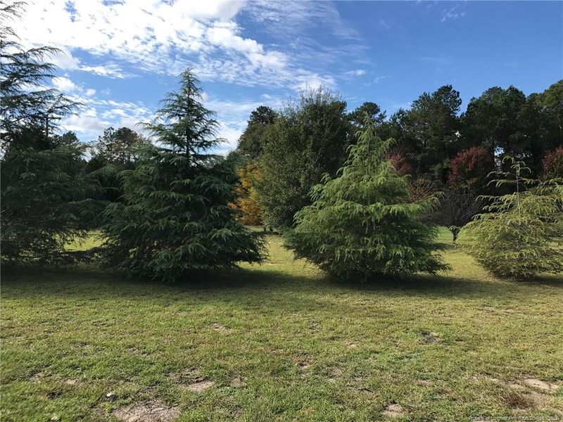 4430 Timber Grove Dr, Hope Mills, NC 28348