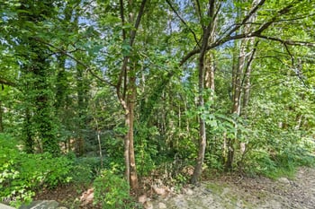 4443 Antique Ln, Raleigh, NC 27616