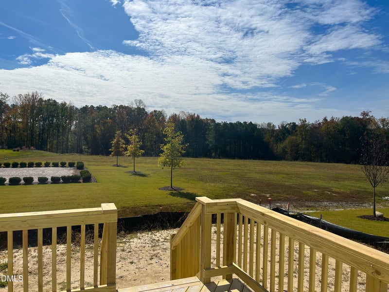 445 Douglas Falls Dr, Wendell, NC 27591