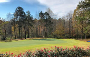 445 Olivia Crossing Ct, Four Oaks, NC 27524