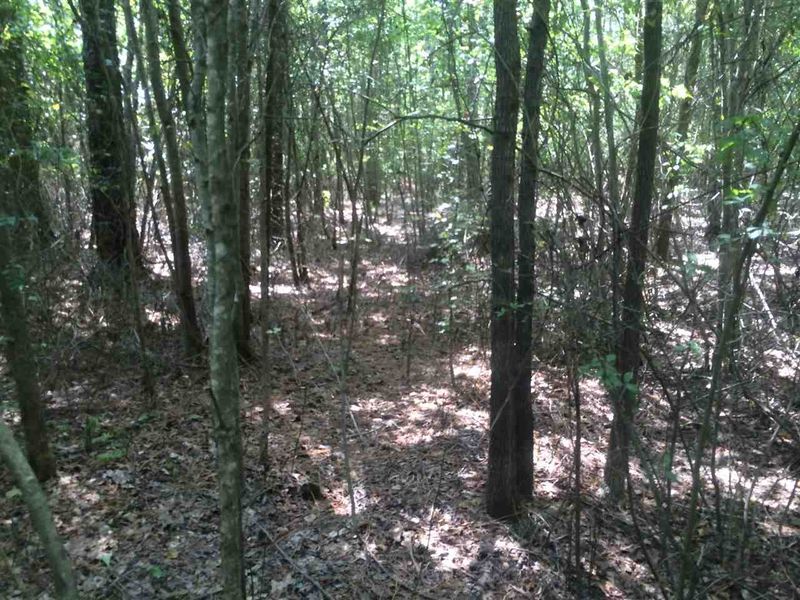 446 Hollands Chapel Rd Lot 1, Apex, NC 27523