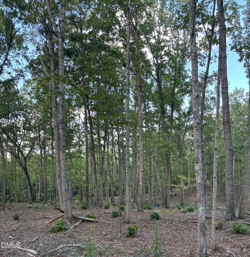 4464-5304 Nc 42 Lot N/A, New Hill, NC 27562