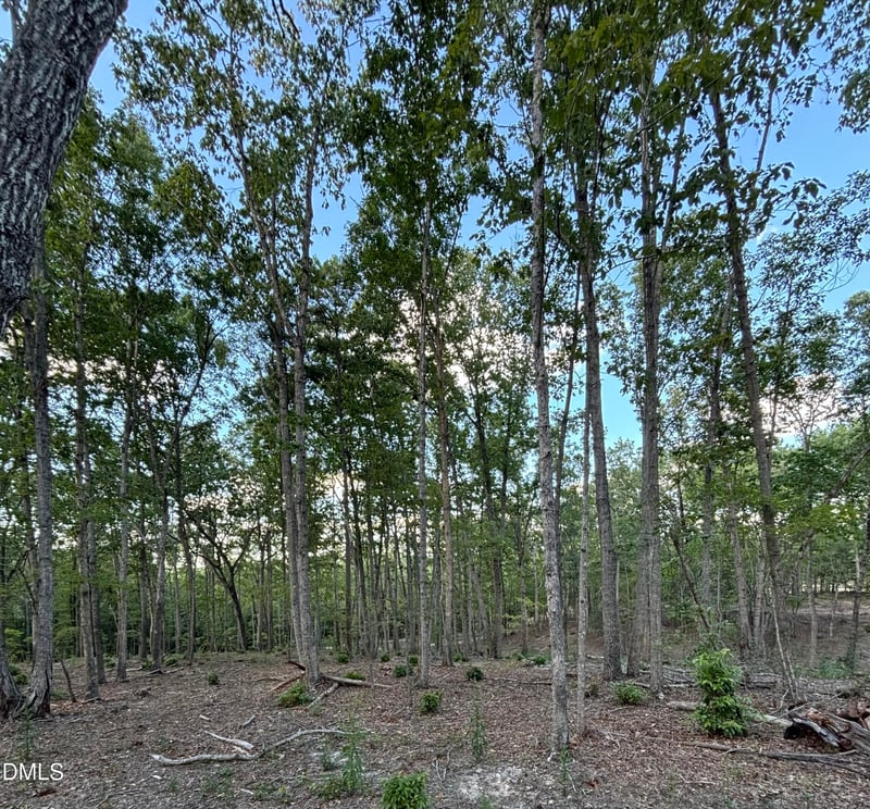 4464-5304 Nc 42 Lot N/A, New Hill, NC 27562