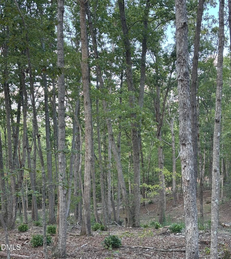 4464-5304 Nc 42 Lot N/A, New Hill, NC 27562