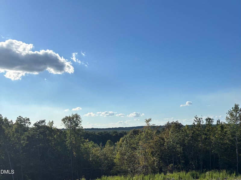 4464-5304 Nc 42 Lot N/A, New Hill, NC 27562