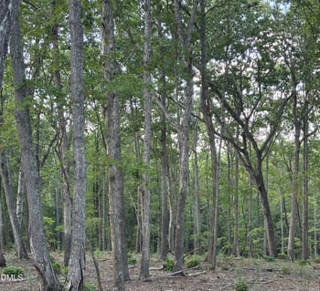 4464-5304 Nc 42 , New Hill, NC 27562