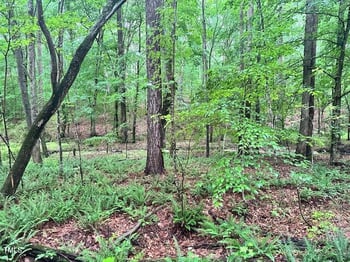 447 Luther Rd, Apex, NC 27523