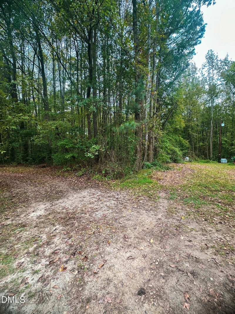 45 Bridges Way, Zebulon, NC 27597